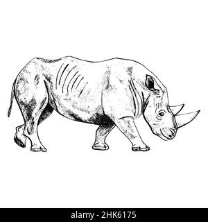 Rhinoceros auf weißem Hintergrund isoliert. Skizze Grafik Tier mit Horn Savanne in Gravur Stil. Design Retro schwarz-weiß Zeichnung. Vektor-Abb. Stock Vektor