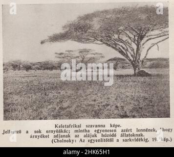 Die Abbildungen und Fotografien stammen aus dem Titelbuch der ungarischen Forscher in Afrika / Dr. Bendefy Benda László: Magyar felfedezők Afrikában 1934. Die Illustrationen stammen von Lóránd Zolnay. Keine Informationen über seine Lebenszeit. Die Quelle der Fotografien und Stiche aus dem Buch stammt von: Entdeckung der Seen Rudolf und Stefanie: Eine Erzählung von Graf Samuel Telekis Erkundungs- und Jagdexpedition im östlichen Äquatorialafrika 1887 & 1888. ADDITIONAL-RIGHTS-CLEARANCE-INFO-NOT-AVAILABLE UND ABGELAUFEN. Stockfoto