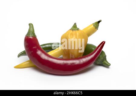 Nahaufnahme mehrerer verschiedenfarbiger Chilischoten mit verschiedenen Formen als Gewürz- und Zutatengaren auf weißem Hintergrund Stockfoto
