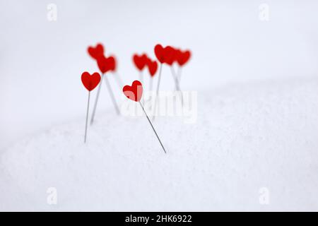 Rote Herzen auf dem Schnee, Symbole der Liebe. Hintergrund für romantische Grußkarte, Valentinstag Stockfoto