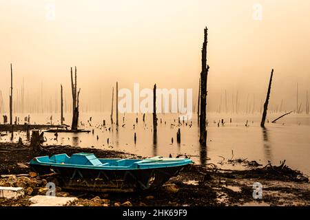 Nebliger See mit vielen trockenen Baumstämmen am Morgen aus flachem Winkel Bild wird am madhuri See tawang arunachal pradesh aufgenommen. Stockfoto