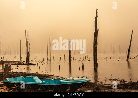 Nebliger See mit vielen trockenen Baumstämmen am Morgen aus flachem Winkel Bild wird am madhuri See tawang arunachal pradesh aufgenommen. Stockfoto