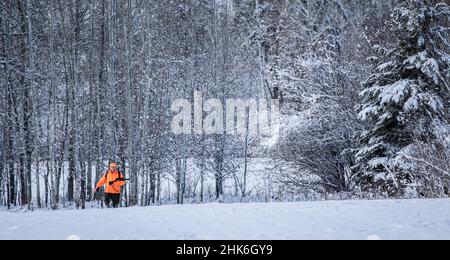 Ein Hirschjäger stapft durch den Schnee im Norden von Minnesota. Stockfoto