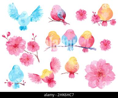 Frühlingsvögel. Sammlung von Aquarell-Vögeln und Sakura-Blumen für März 8 Stockfoto