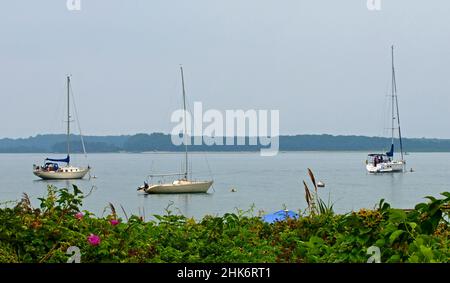 Drei Segelboote mit je einem Mast oder segeln an einem grauen Tag auf der Lewis Bay in Cape Cod, Massachusetts, USA. In Der Nähe Des Hyannis Harbour. Stockfoto