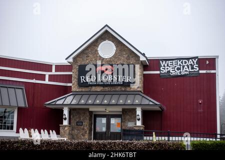 Lynnwood, WA USA - ca. Januar 2022: Blick auf das Äußere eines Fischrestaurants mit rotem Hummer an einem bewölkten Tag. Stockfoto