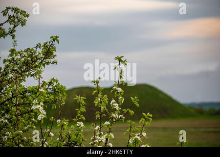 Skythian-Hügel (Grabhügel) in der Nähe von Pustoviytivka, Region Romny, Oblast Sumy, Ukraine Stockfoto