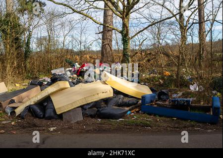 Buckinghamshire, Großbritannien. 2nd. Februar 2022. Illegales Kippen von Fliegen entlang einer Landstraße in Buckinghamshire. Quelle: Maureen McLean/Alamy Stockfoto