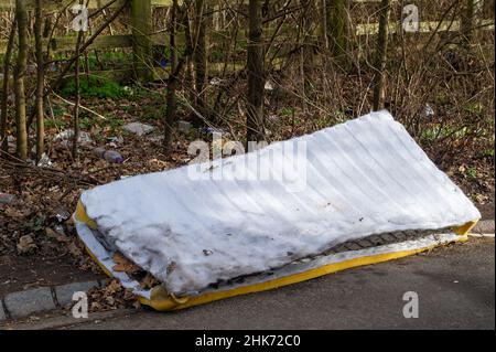 Buckinghamshire, Großbritannien. 2nd. Februar 2022. Illegales Kippen von Fliegen entlang einer Landstraße in Buckinghamshire. Quelle: Maureen McLean/Alamy Stockfoto