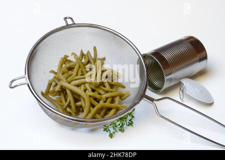 Grüne Bohnen und Bohnenkraut in Sieb und Dose, gemeine Bohne Stockfoto