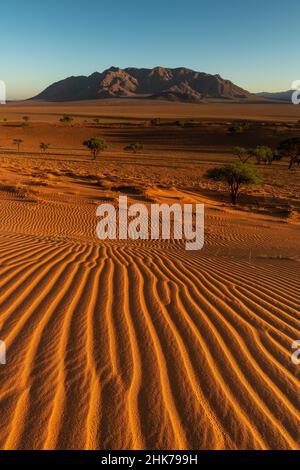 Windgeformte Strukturen im Sand der Namib-Wüste mit dem Losberg-Berg im Hintergrund nach Sonnenaufgang, Namib Rand Nature Reserve, Wolwedans Stockfoto