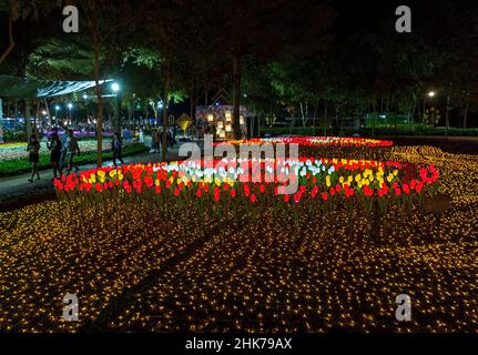 Chiang Mai, Thailand. 02nd. Februar 2022. Ein Blick auf geschmückte Blumen während des Festivals.Chaloem Phrakiat Park zeigt die bunten Blumenfelder und Skulpturen und es ist in verschiedenen Winterbäumen angeordnet, nächtliche Beleuchtung Ansichten, um den Tourismus zu fördern und die Wirtschaft Politik der Regierung anzuregen. Nach dem Rückgang von Covid-19 startete der Chaloem Phrakiat Park sein 82nd-jähriges Bestehen. (Foto von Pongmanat Tasiri/SOPA Images/Sipa USA) Quelle: SIPA USA/Alamy Live News Stockfoto