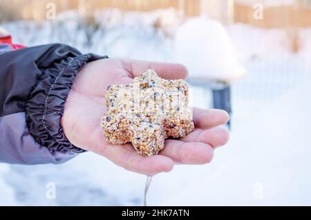 Herz-förmige Futterstelle für Vögel. Futterstelle für Vögel aus Samen und Fett. Stockfoto