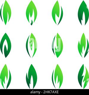 Grüne Blätter setzen Symbole, verschiedene Vektorformen von Blättern von Bäumen und Pflanzen, Elemente für Öko-und Bio-Logos Stock Vektor