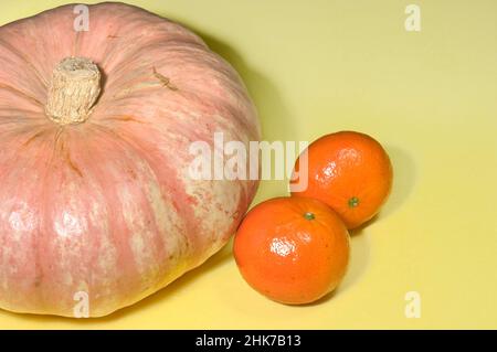 Kürbis und zwei Mandarinen auf gelbem Hintergrund. Frisches Obst vom Feld. Stockfoto