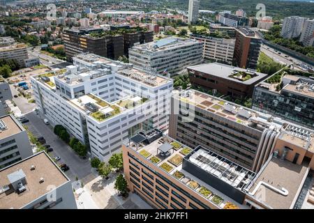 Moderne ökologische Gründächer auf Bürogebäuden in Prag. Stockfoto