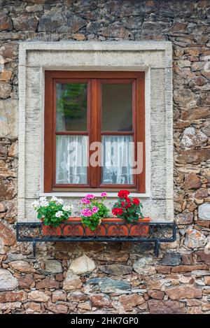 Ein hölzernes, braunes Fenster und ein Fragment einer Steinmauer des Gebäudes. Vorhänge hängen im Fenster, bunte Blumen auf der Fensterbank. Stockfoto