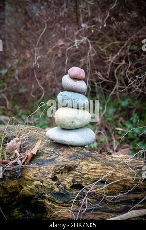 Auf einem Baumstamm steht ein Steinhaufen mit unterschiedlich farbigen Steinen Stockfoto