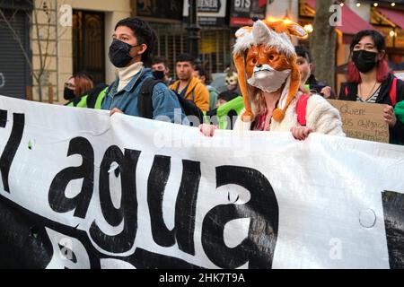 CABA, Buenos Aires, Argentinien; 24. September 2021: Umweltaktivismus, Person mit Tiermaske, die während des Global Climate S mit anderen Menschen protestiert Stockfoto