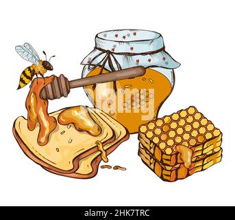 Glas mit Honig und Waben, Biene und Brotscheiben, Skizzenvektor. Stock Vektor