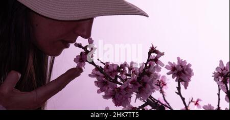 Nicht erkennbare Frau mit Zweig von Mandelbaum, auf rosa Hintergrund für einen Frauentag Stockfoto