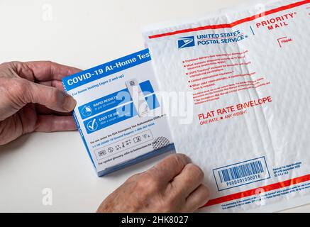 Morgantown, WV - 2. Februar 2022: Älterer Mann, der den staatlich gelieferten Test für Covid-19 mit US-Briefumschlag eröffnete Stockfoto