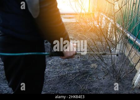 Pestizide, Pestizide auf Johannisbeerbusch sprühen. Unschärfe Landwirt Mann sprühen Baum mit manuellen Pestizid-Sprüher gegen Insekten im Frühling Garten Agricultu Stockfoto