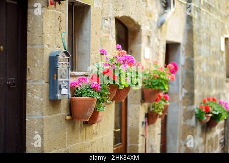 Blumen in den engen alten Straßen der berühmten Stadt Pitigliano, die sich auf einem vulkanischen Tuffsteinkamm befindet. Wunderschöne italienische Städte und Dörfer. Etruskische Herita Stockfoto