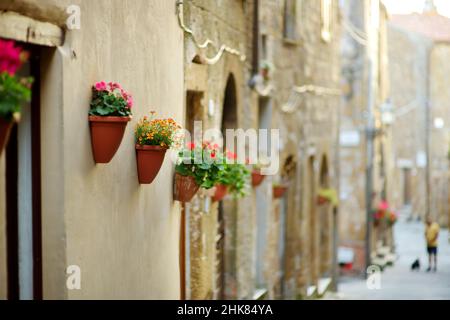 Blumen in den engen alten Straßen der berühmten Stadt Pitigliano, die sich auf einem vulkanischen Tuffsteinkamm befindet. Wunderschöne italienische Städte und Dörfer. Etruskische Herita Stockfoto