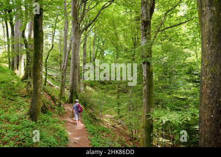 Vater und Tochter folgen einem Fußweg um das Heiligtum von La Verna, Chiusi della Verna, im Casentino, einem der größten Wälder in Europa Stockfoto