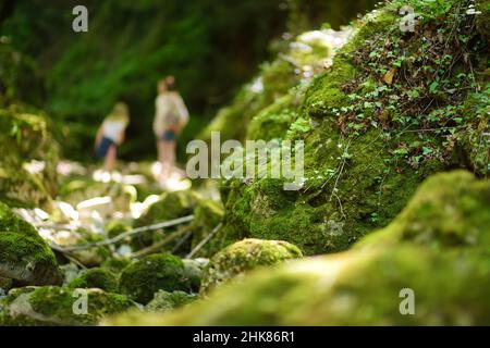 Botro ai Buchi del Diavolo (Teufelsschlucht), felsiger Wanderweg, der entlang des ausgetrockneten Flusses führt. Schöner Fußweg, der sich in den Wald in der Nähe von S erstreckt Stockfoto