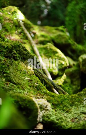 Botro ai Buchi del Diavolo (Teufelsschlucht), felsiger Wanderweg, der entlang des ausgetrockneten Flusses führt. Schöner Fußweg, der sich in den Wald in der Nähe von S erstreckt Stockfoto