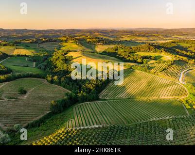 Luftaufnahme von endlosen Reihen von Weinreben rund um San Gimignano Stadt. Weinberge, Plantagen von Weinreben, die hauptsächlich für die Weinherstellung in Tusc angebaut werden