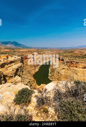 Der Bighorn River fließt durch den Devil Canyon im Bighorn National Recreation Area, Wyoming Stockfoto