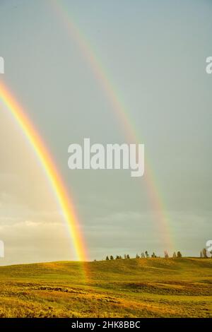 Double Rainbows enden im Hayden Valley im Yellowstone National Park Stockfoto