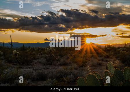 Dramatische, lebhafte Sonnenuntergangslandschaft in Tucson, Arizona Stockfoto