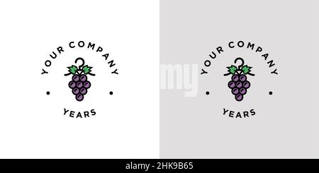 Einzigartiges und elegantes Design mit Logo für Wäschereien Stock Vektor