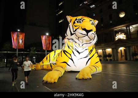 Sydney, Australien. 2nd. Februar 2022. Eine große Tiger-Laterne am Vorplatz des Zollhauses, Circular Quay, um das Mondneujahr zu feiern. Kredit: Richard Milnes/Alamy Live Nachrichten Stockfoto