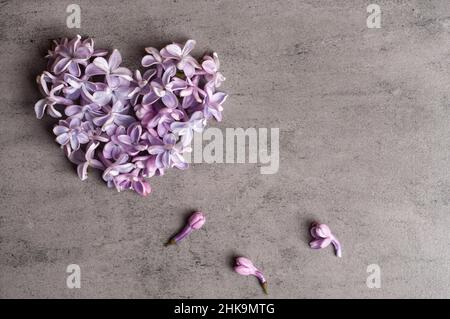 Die Blumen des Flieders in Form des Herzens auf dem grauen Hintergrund Stockfoto