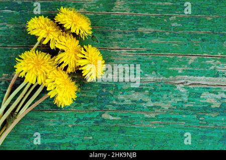 Bouquet von Dandelionen auf grünem Holzhintergrund Stockfoto