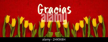 Roter Holzhintergrund mit spanischem Text Gracias bedeutet Danke. Banner Der Gelben Tulpenblüten Im Frühling Stockfoto