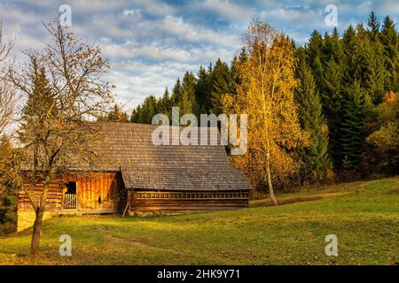 Eine alte Hütte im Wald in der Nähe von Vychylovka Dorf in der Region Kysuce, Slowakei, Europa. Stockfoto
