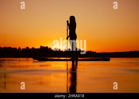 Low-Angle der kaukasischen Frau Silhouette paddeln Boarding auf ruhigen Bucht mit Reflexion auf der Wasseroberfläche mit Sonnenuntergang hinter Frau im Sommer. Aktiv Stockfoto