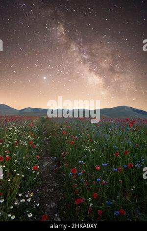 Monti Sibillini National, Park, Nachtlandschaft, Blühende Milchstraße, Castelluccio di Norcia, Umbrien, Italien, Europa Stockfoto