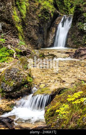 Doppelte Wasserfälle auf einem Bach im Wald, Nationalpark Mala Fatra, Slowakei, Europa. Stockfoto