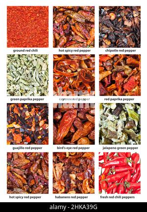 Set von quadratischen Lebensmitteln Hintergrund - verschiedene Chili-Paprika mit Namen aus der Nähe Stockfoto