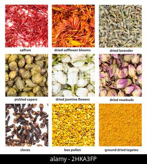 Set von quadratischen Lebensmitteln Hintergrund - verschiedene florale Geschmackstoffe mit Namen aus der Nähe Stockfoto