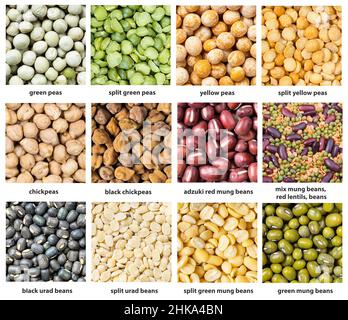 Set von quadratischen Lebensmitteln Hintergrund - verschiedene Erbsen und Kmungs mit Namen aus der Nähe Stockfoto