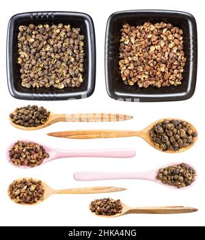 Set aus verschiedenen sichuan-Paprika auf weißen Hintergrunsen isoliert Stockfoto