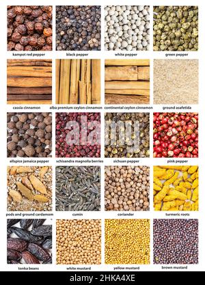 Set von quadratischen Lebensmitteln Hintergrund - verschiedene Gewürze mit Namen aus der Nähe Stockfoto